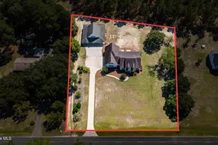 727 Mt Olive Rd, Bladenboro, NC 28320 - Photo 71