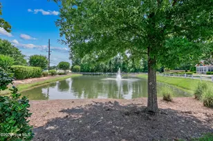 170 Nandina Ct, Fayetteville, NC 28311 - Photo 47