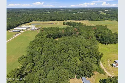 163 John Hall Farm Lane, Beulaville, NC 28518 - Photo 13