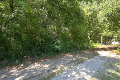 163 John Hall Farm Lane, Beulaville, NC 28518 - Photo 3