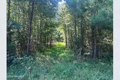 12045 Andrew Jackson Highway SW, Fair Bluff, NC 28439 - Photo 5