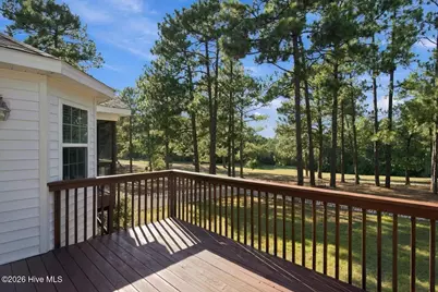 20 Pine Tree Terrace, Jackson Springs, NC 27281 - Photo 55