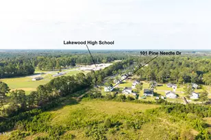 101 Pine Needle Dr, Salemburg, NC 28385 - Photo 37