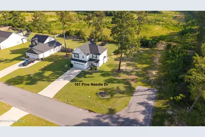 101 Pine Needle Drive, Salemburg, NC 28385 - Photo 3