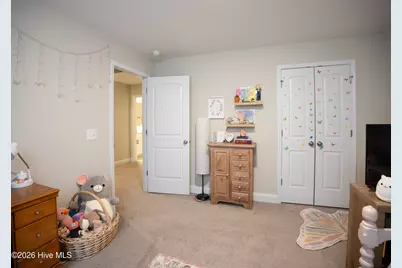101 Pine Needle Drive, Salemburg, NC 28385 - Photo 31