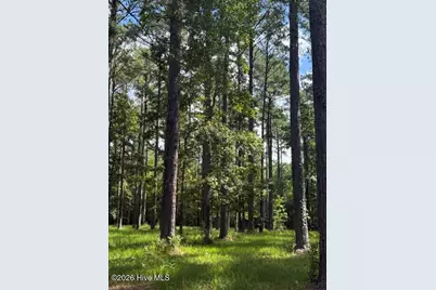 39 Corrolla Loop Road, Oriental, NC 28571 - Photo 3