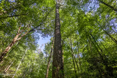 90 Ac Tree House Road, Andrews, NC 28901 - Photo 13