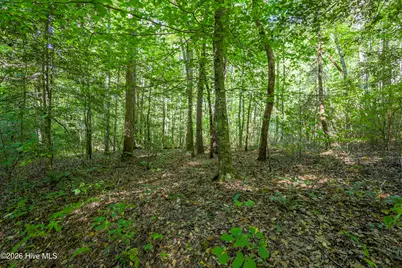 90 Ac Tree House Road, Andrews, NC 28901 - Photo 11