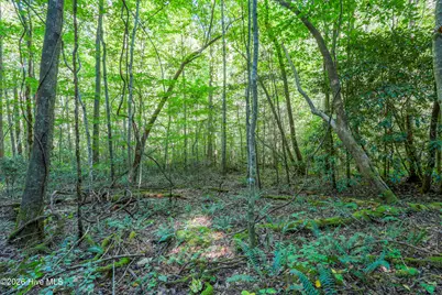 90 Ac Tree House Road, Andrews, NC 28901 - Photo 3