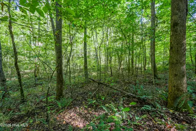 90 Ac Tree House Road, Andrews, NC 28901 - Photo 5