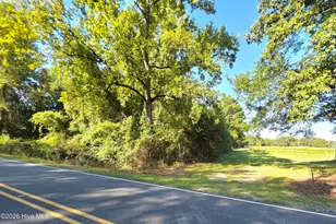 170 Southriver Rd, Autryville, NC 28318 - Photo 69