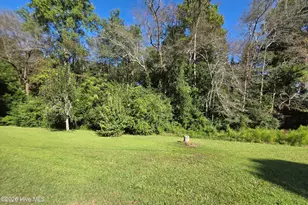 170 Southriver Rd, Autryville, NC 28318 - Photo 61