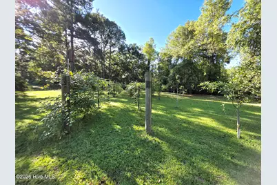 170 South River Road, Autryville, NC 28318 - Photo 53