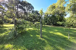 170 Southriver Rd, Autryville, NC 28318 - Photo 53