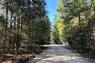 265 Dewey Dr, Aberdeen, NC 28315 - Photo 51