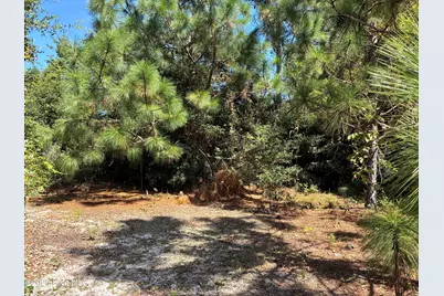 421 Bobby Jones Drive, Wilmington, NC 28412 - Photo 3