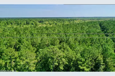 0 Bud Stephens Road, Evergreen, NC 28438 - Photo 11