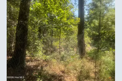 0 Bud Stephens Road, Evergreen, NC 28438 - Photo 3