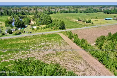 0 Bud Stephens Road, Evergreen, NC 28438 - Photo 5