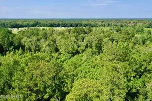 0 Bud Stephens Rd, Evergreen, NC 28438 - Photo 1