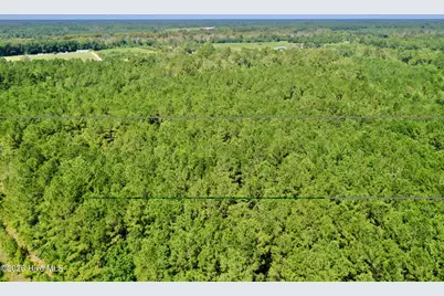 0 Bud Stephens Road, Evergreen, NC 28438 - Photo 9