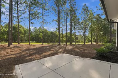 198 Banbridge Drive, Seven Lakes, NC 27376 - Photo 49