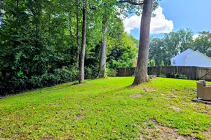 167 Louie Ln, Jacksonville, NC 28540 - Photo 29