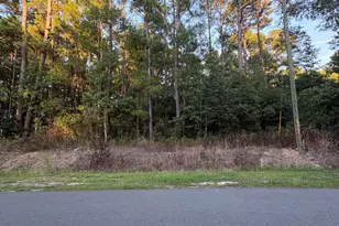 524 Boundary Loop Rd NW, Calabash, NC 28467 - Photo 1