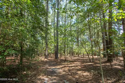 245 Pine Vista Drive, Pinehurst, NC 28374 - Photo 3