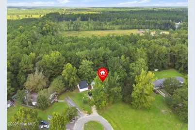 38 Thompson Court, Rocky Point, NC 28457 - Photo 47
