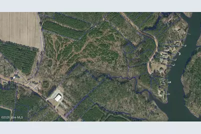 0 White Farm Road, Oriental, NC 28571 - Photo 1