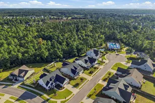 11 Lemongrass Ct, Hampstead, NC 28443 - Photo 57