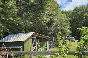 7147 Stag Park Rd, Burgaw, NC 28425 - Photo 29