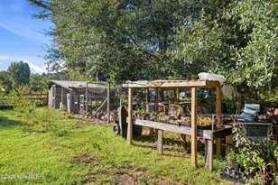 7147 Stag Park Rd, Burgaw, NC 28425 - Photo 27