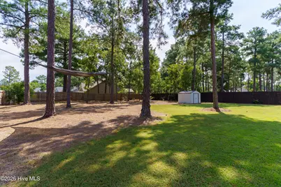 311 Pine Laurel Drive, Carthage, NC 28327 - Photo 29