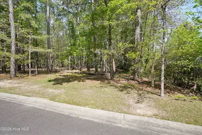 3496 Fairway Crest Drive SW, Shallotte, NC 28470 - Photo 1