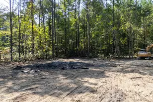 0 US Hwy 117 N, Willard, NC 28478 - Photo 21