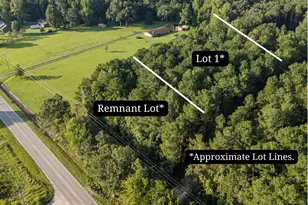 0 US Hwy 117 N, Willard, NC 28478 - Photo 3