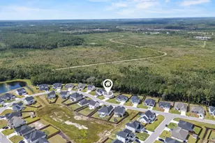 499 Pebble Shore Dr, Sneads Ferry, NC 28460 - Photo 47