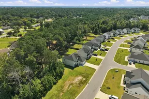 517 White Shl Wy, Sneads Ferry, NC 28460 - Photo 55