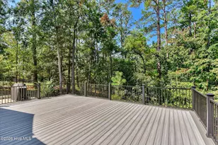 408 Reynard Pl, McCormick, SC 29835 - Photo 43