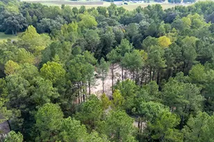 0 US Hwy 117 N, Willard, NC 28478 - Photo 23