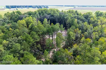 0 US Hwy 117 N #Lot 3, Willard, NC 28478 - Photo 23