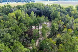 0 US Hwy 117 N, Willard, NC 28478 - Photo 23