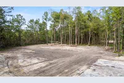 0 US Hwy 117 N #Lot 3, Willard, NC 28478 - Photo 3