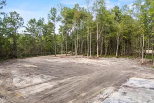 0 US Hwy 117 N, Willard, NC 28478 - Photo 3