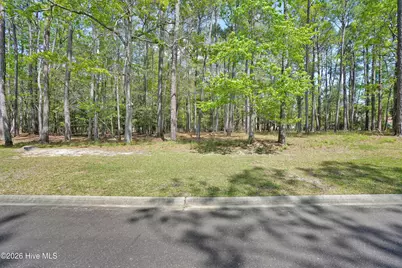 3736 Pine Brook Trail, Shallotte, NC 28470 - Photo 17