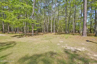 3736 Pine Brook Trail, Shallotte, NC 28470 - Photo 3