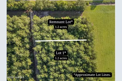 0 US Hwy 117 N #Lot 1, Willard, NC 28478 - Photo 21