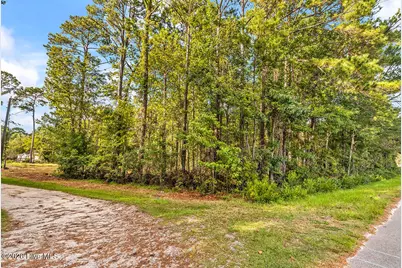 390 Walking Horse Point SW, Shallotte, NC 28470 - Photo 3